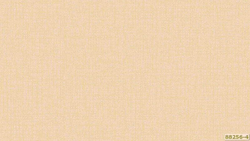 Giấy dán tường có màu pastel Hàn Quốc đang được nhiều người sử dụng trong các bản thiết kế nội thất và được nhiều người lựa chọn.
